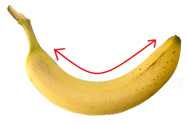 ナイス湾曲！なバナナの画像